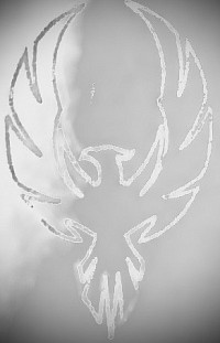 Esquisse de Tatouage, rose-Andrée monty, Phoenix, bassetronaute, 2022
