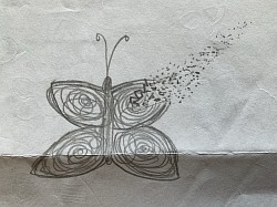 Dessin papillon butterfly par rose-Andrée monty, bassetronaute, artiste