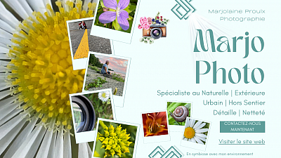 MarjoPhoto
