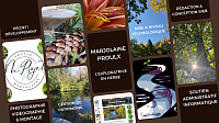 MProjet|MP_Consultante